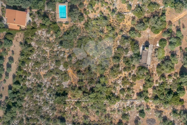 Terreno para Venda em Olhão Foto 7