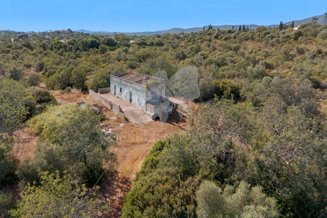 Terreno para Venda em Olhão Foto 6