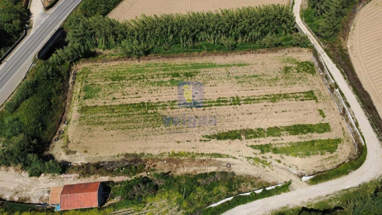 Terreno Agricola ou Rústico para Venda em Atouguia da Baleia Foto 1