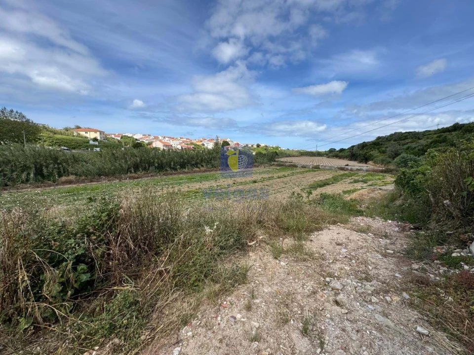 Terreno Agricola ou Rústico para Venda em Atouguia da Baleia Foto 19