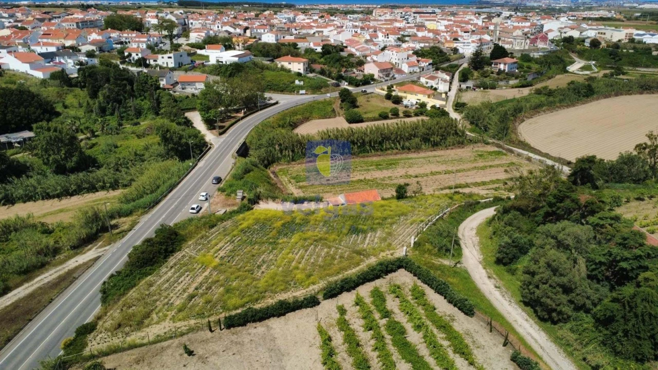 Terreno Agricola ou Rústico para Venda em Atouguia da Baleia Foto 7