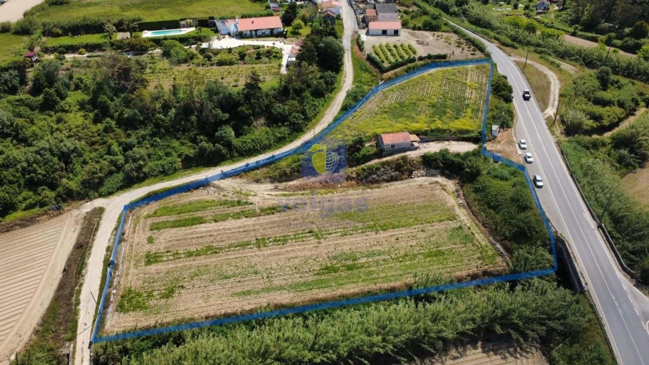 Terreno Agricola ou Rústico para Venda em Atouguia da Baleia Foto 3