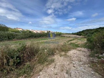 Terreno Agricola ou Rústico para Venda em Atouguia da Baleia