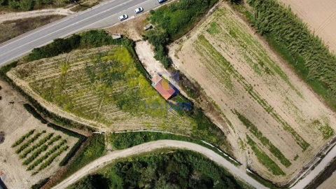 Terreno Agricola ou Rústico para Venda em Atouguia da Baleia