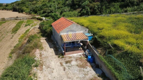 Terreno Agricola ou Rústico para Venda em Atouguia da Baleia