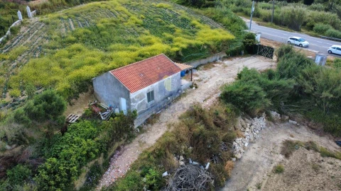 Terreno Agricola ou Rústico para Venda em Atouguia da Baleia