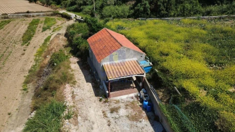 Terreno Agricola ou Rústico para Venda em Atouguia da Baleia