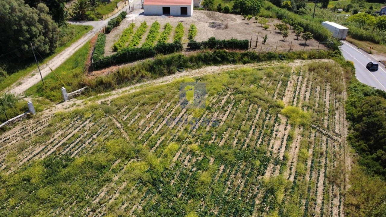 Terreno Agricola ou Rústico para Venda em Atouguia da Baleia Foto 5