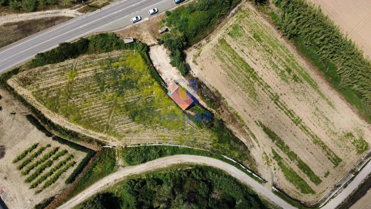 Terreno Agricola ou Rústico para Venda em Atouguia da Baleia Foto 2