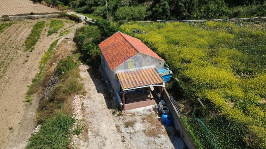 Terreno Agricola ou Rústico para Venda em Atouguia da Baleia Foto 4