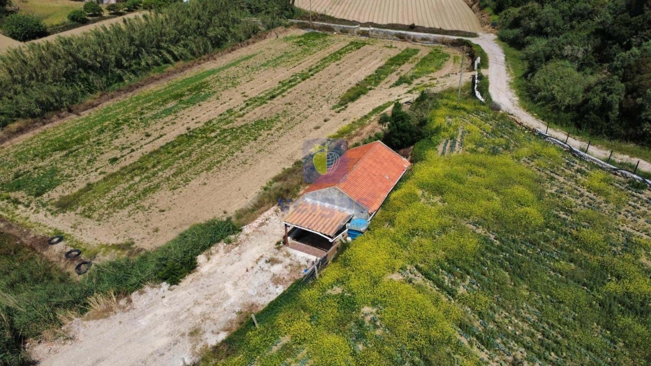 Terreno Agricola ou Rústico para Venda em Atouguia da Baleia Foto 20