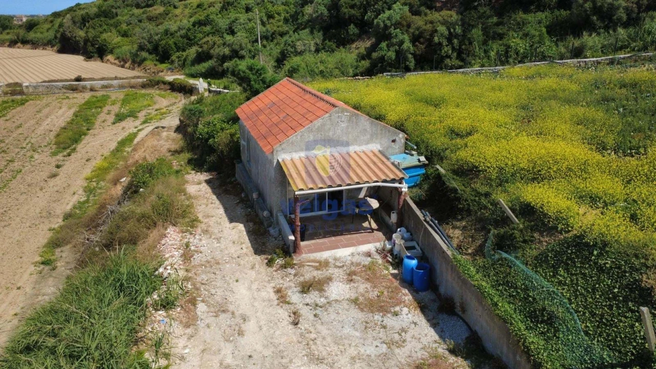 Terreno Agricola ou Rústico para Venda em Atouguia da Baleia Foto 8
