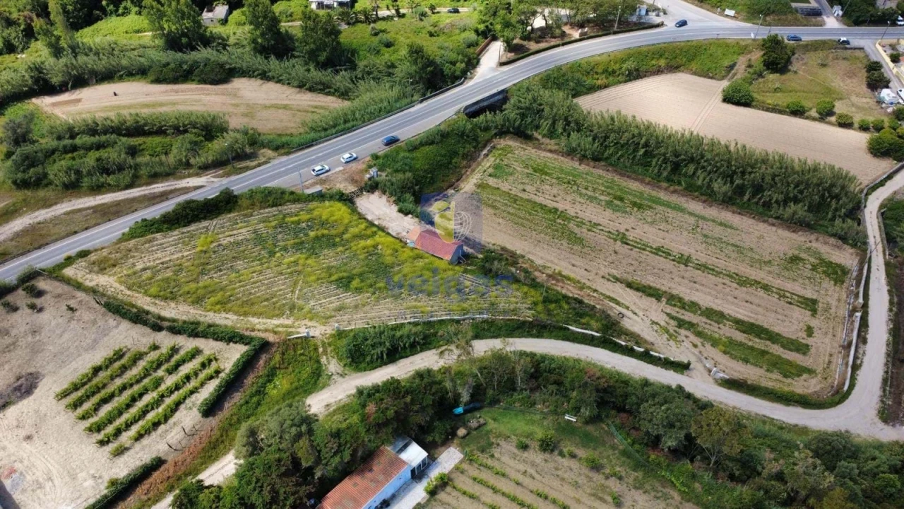Terreno Agricola ou Rústico para Venda em Atouguia da Baleia Foto 6