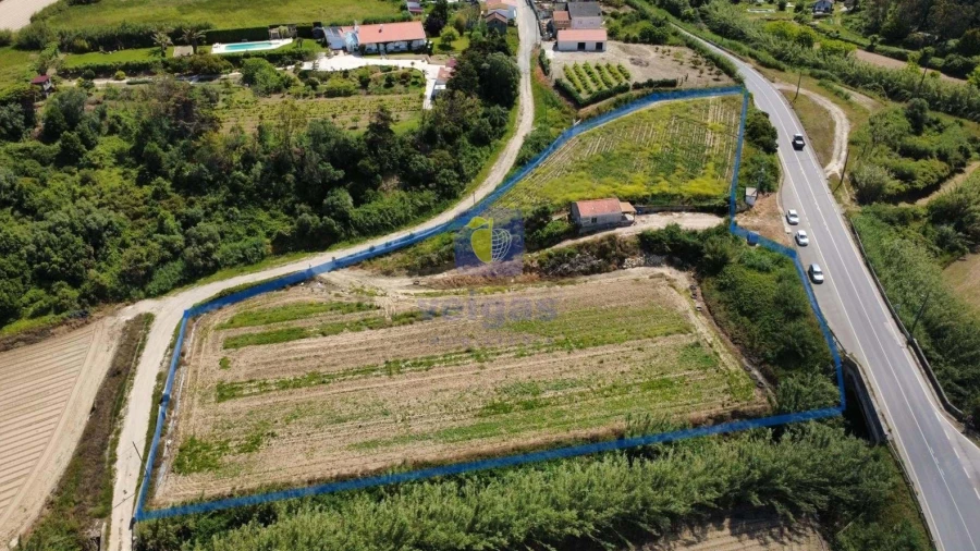 Terreno Agricola ou Rústico para Venda em Atouguia da Baleia