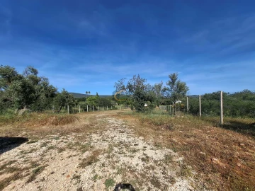 Terreno para Venda em Paderne