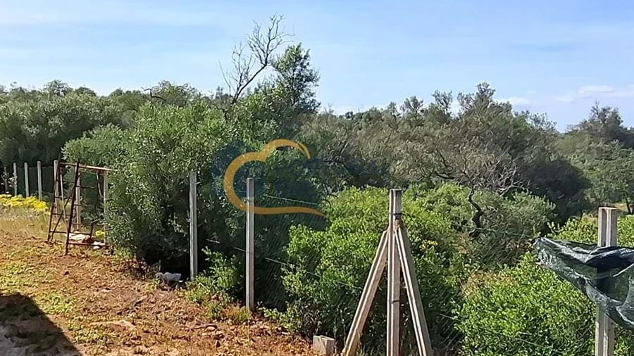 Moradia T3 para Venda em Paderne
