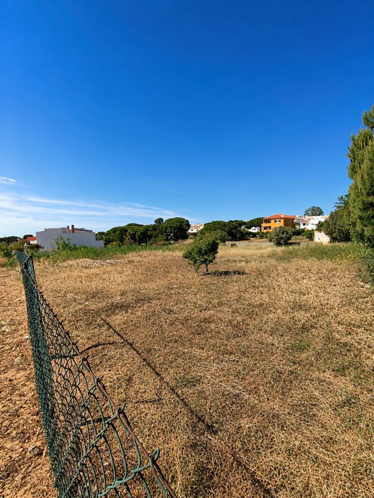 Terreno para Venda em Montenegro Foto 3