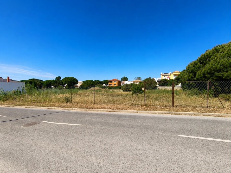 Terreno para Venda em Montenegro Foto 2