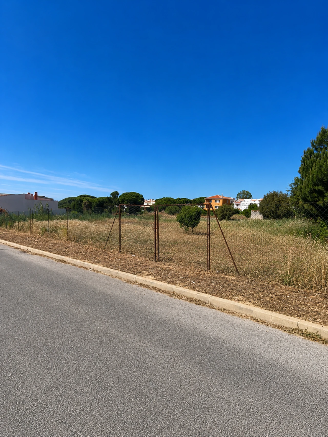 Terreno para Venda em Montenegro Foto 4