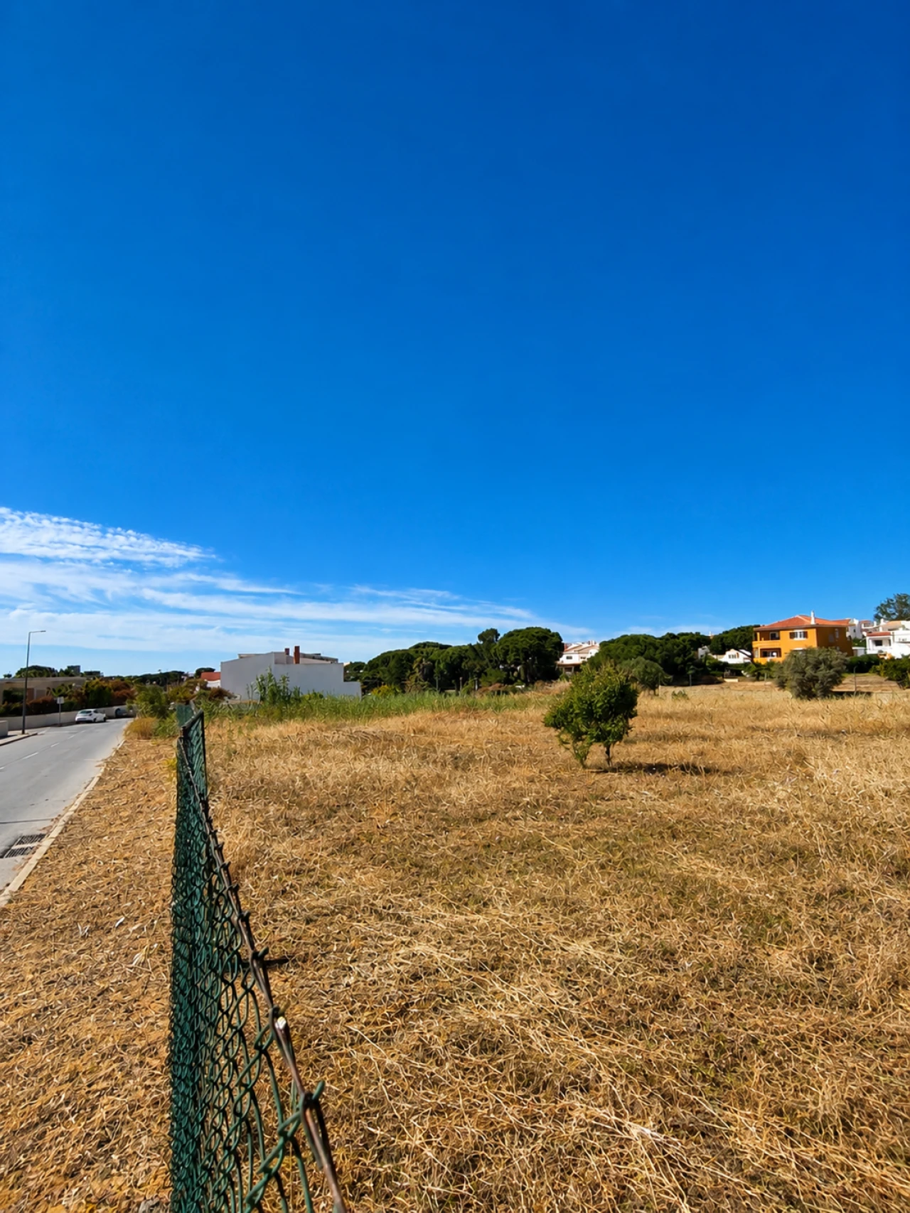 Terreno para Venda em Montenegro Foto 5