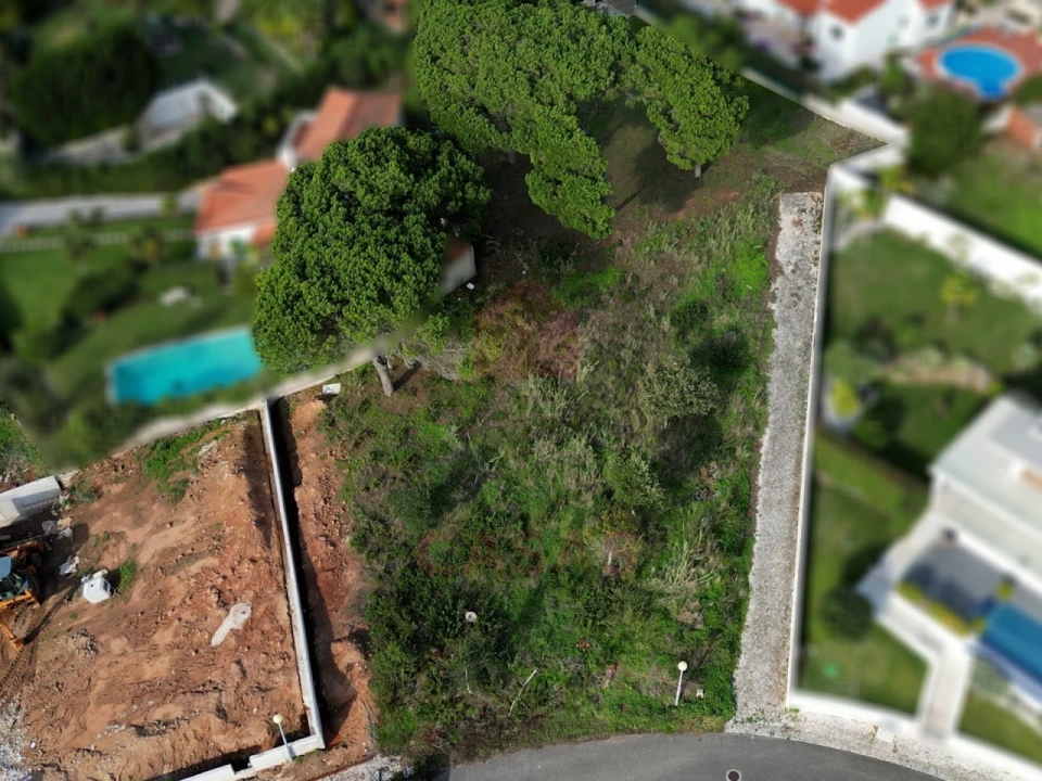 Terreno para Venda em Nadadouro Foto 3