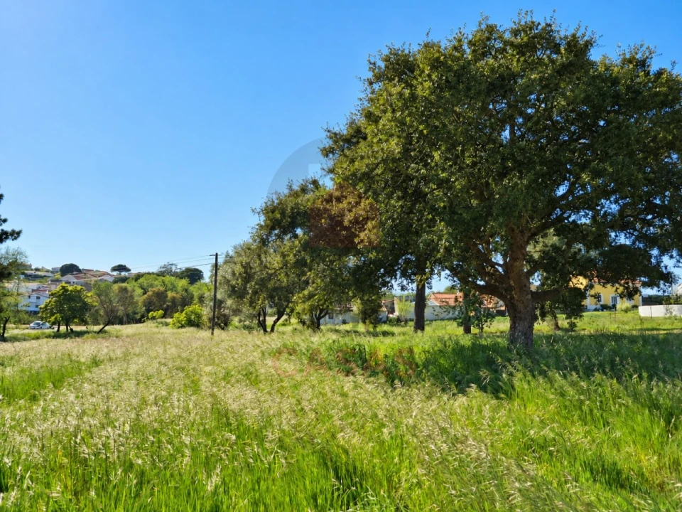 Terreno para Venda em Nadadouro Foto 9