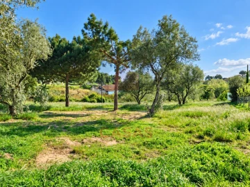 Terreno para Venda em Nadadouro