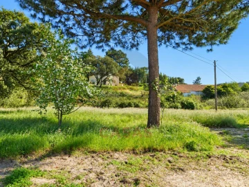 Terreno para Venda em Nadadouro