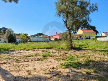 Terreno para Venda em Nadadouro