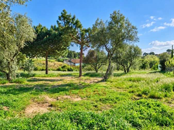 Terreno para Venda em Nadadouro Foto 7