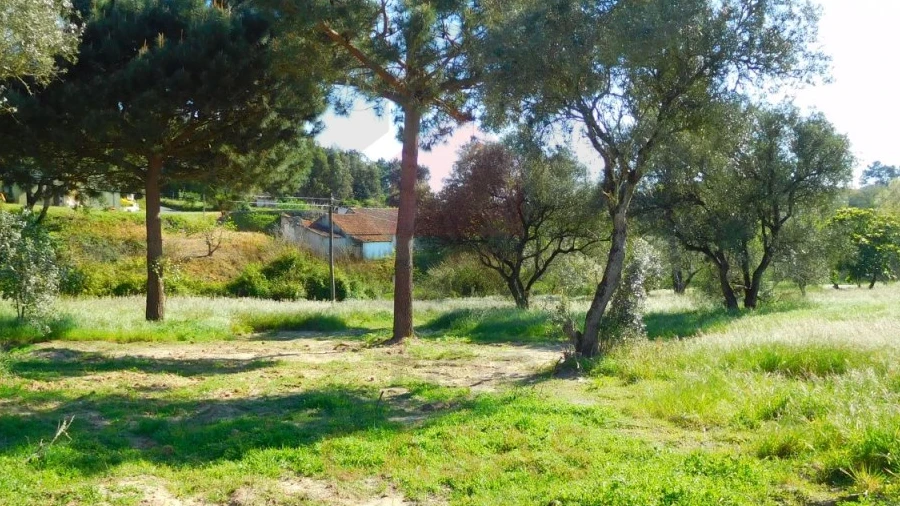 Terreno para Venda em Nadadouro