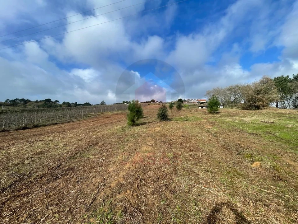 Terreno para Venda em Salir de Matos Foto 1