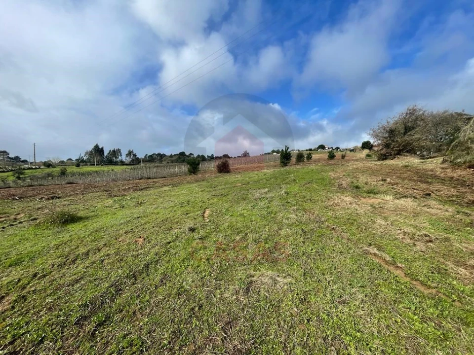 Terreno para Venda em Salir de Matos Foto 4