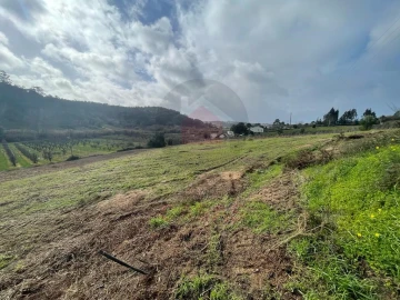 Terreno para Venda em Salir de Matos