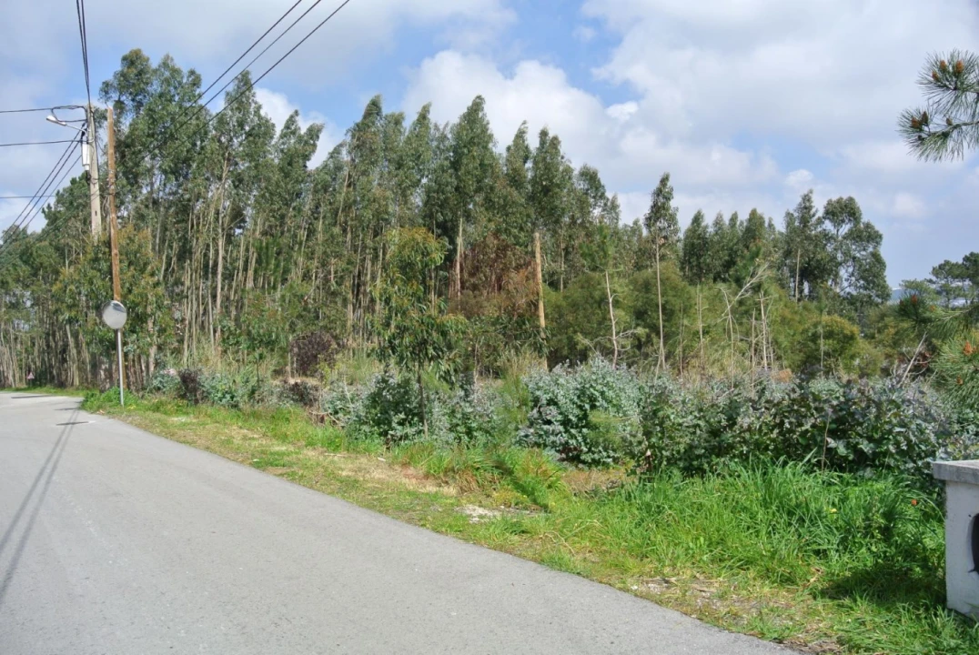 Terreno para Venda em Nadadouro Foto 4