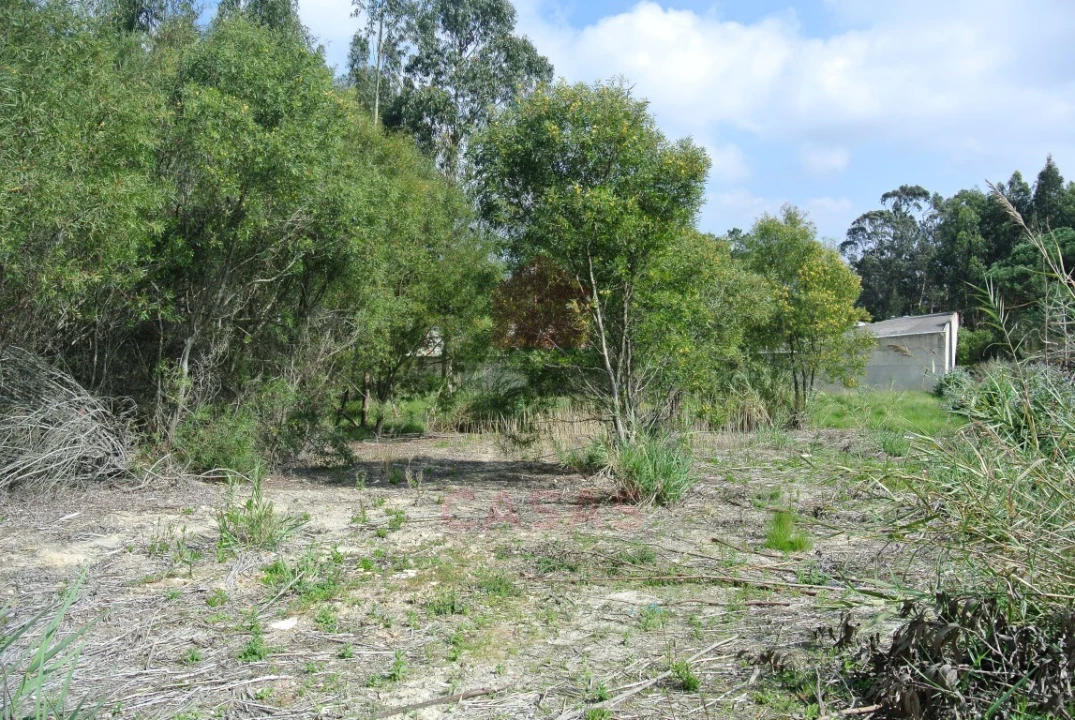 Terreno para Venda em Nadadouro Foto 8