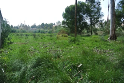 Terreno para Venda em Nadadouro