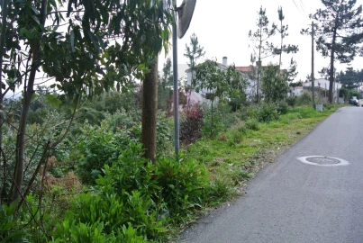 Terreno para Venda em Nadadouro