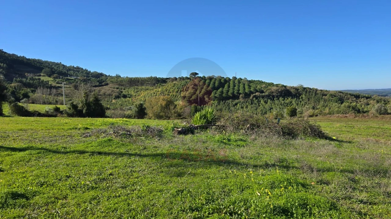 Terreno para Venda em Lamas e Cercal Foto 6