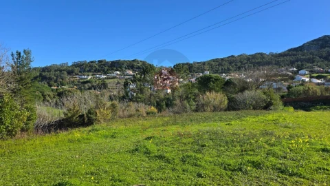 Terreno para Venda em Lamas e Cercal