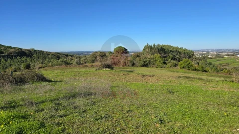 Terreno para Venda em Lamas e Cercal