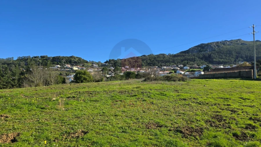 Terreno para Venda em Lamas e Cercal Foto 7