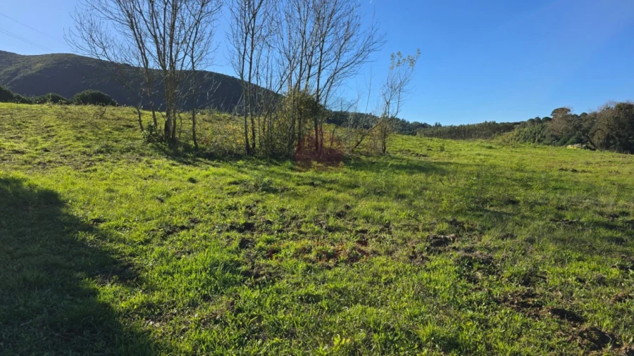 Terreno para Venda em Lamas e Cercal Foto 11