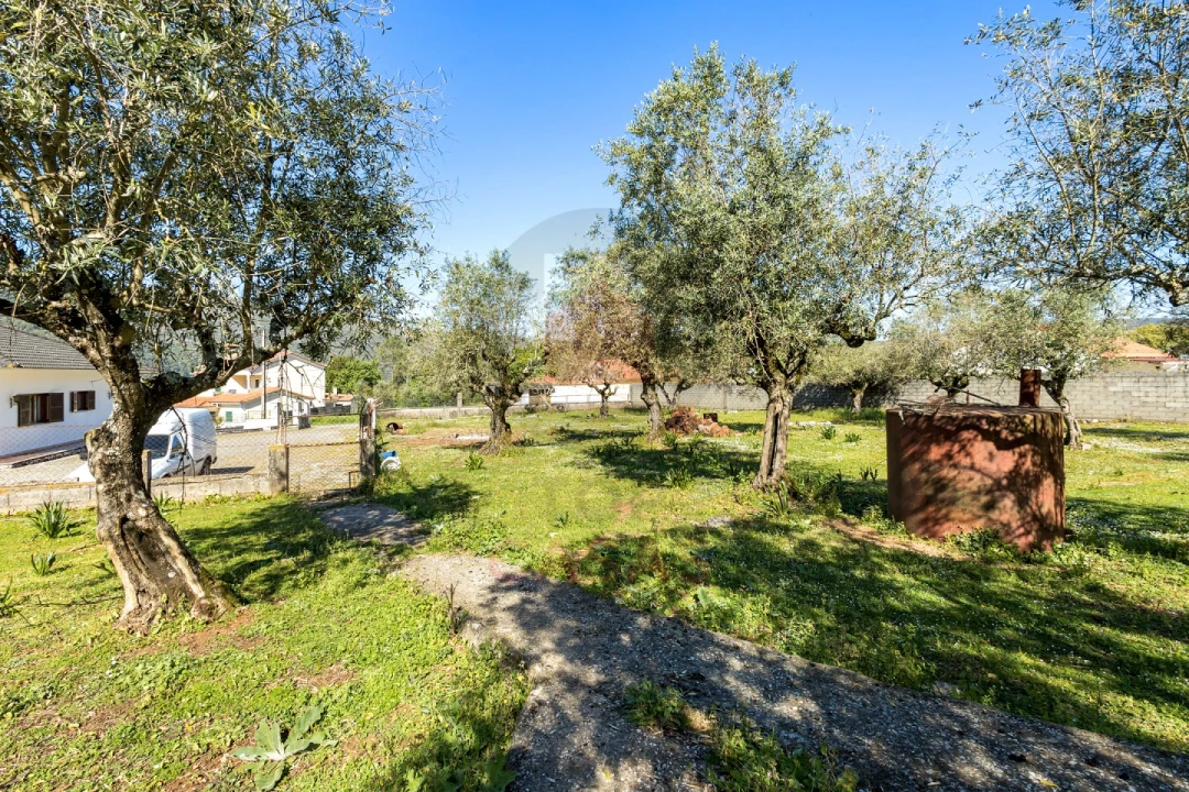 Terreno para Venda em Minde Foto 4