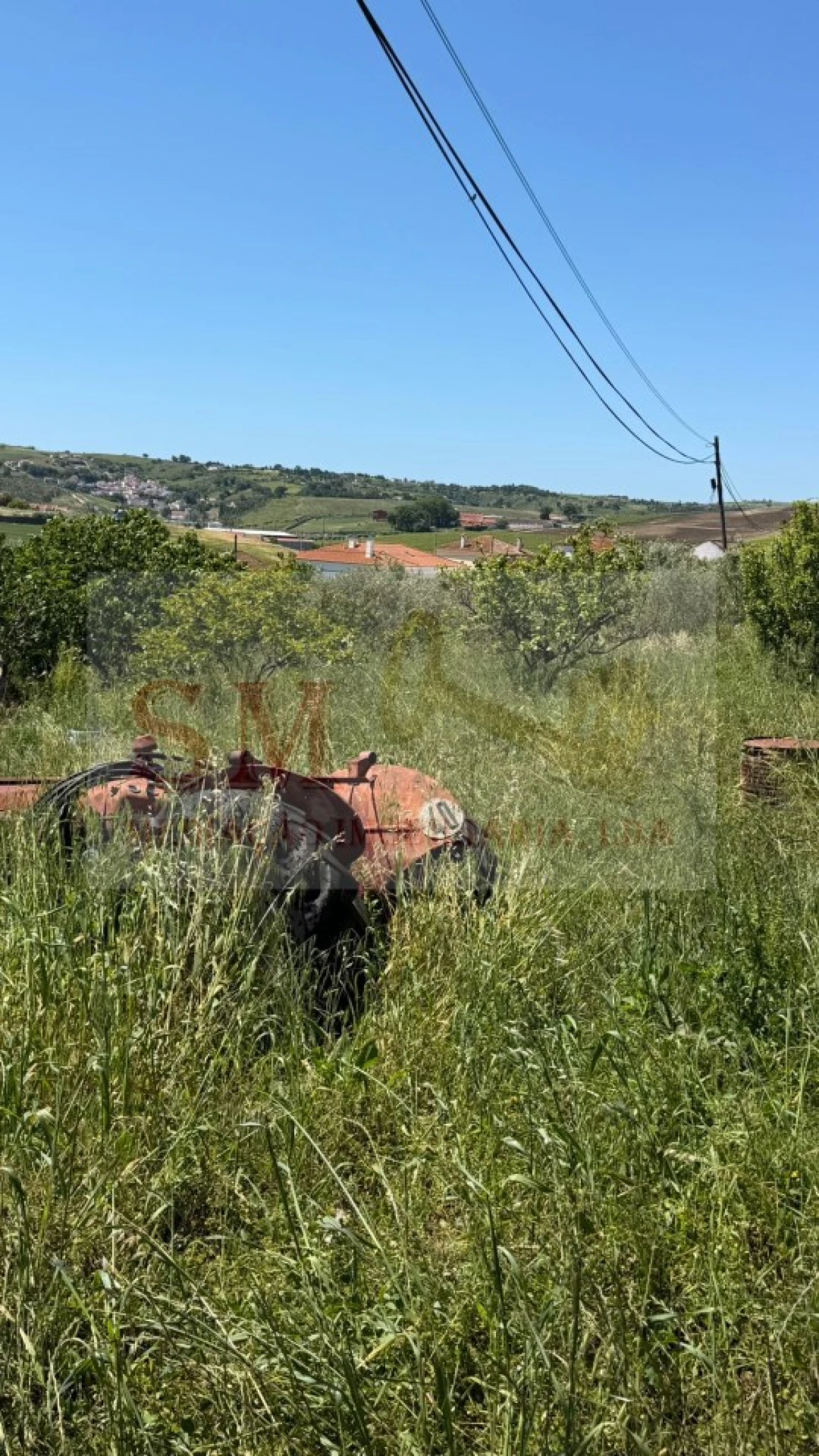 Terreno para Venda em Olhalvo Foto 3