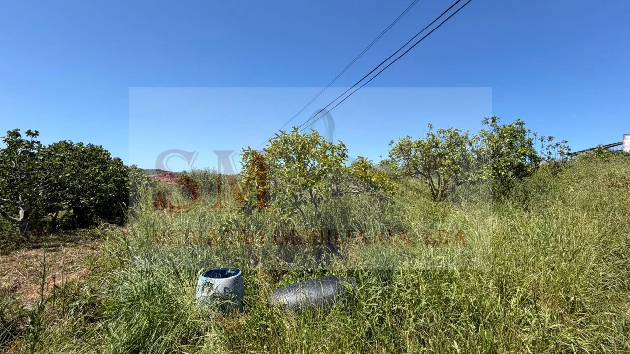 Terreno para Venda em Olhalvo Foto 5