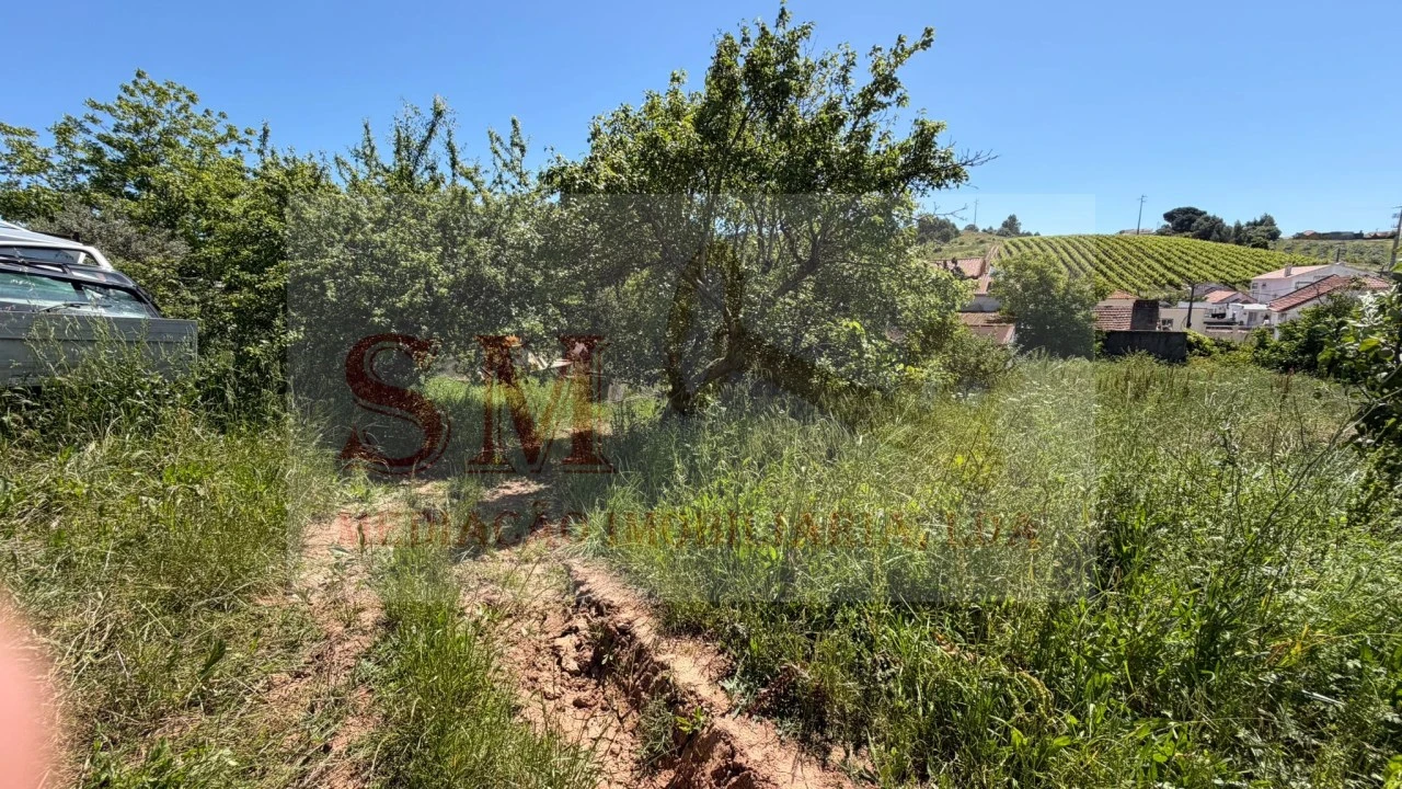 Terreno para Venda em Olhalvo Foto 6