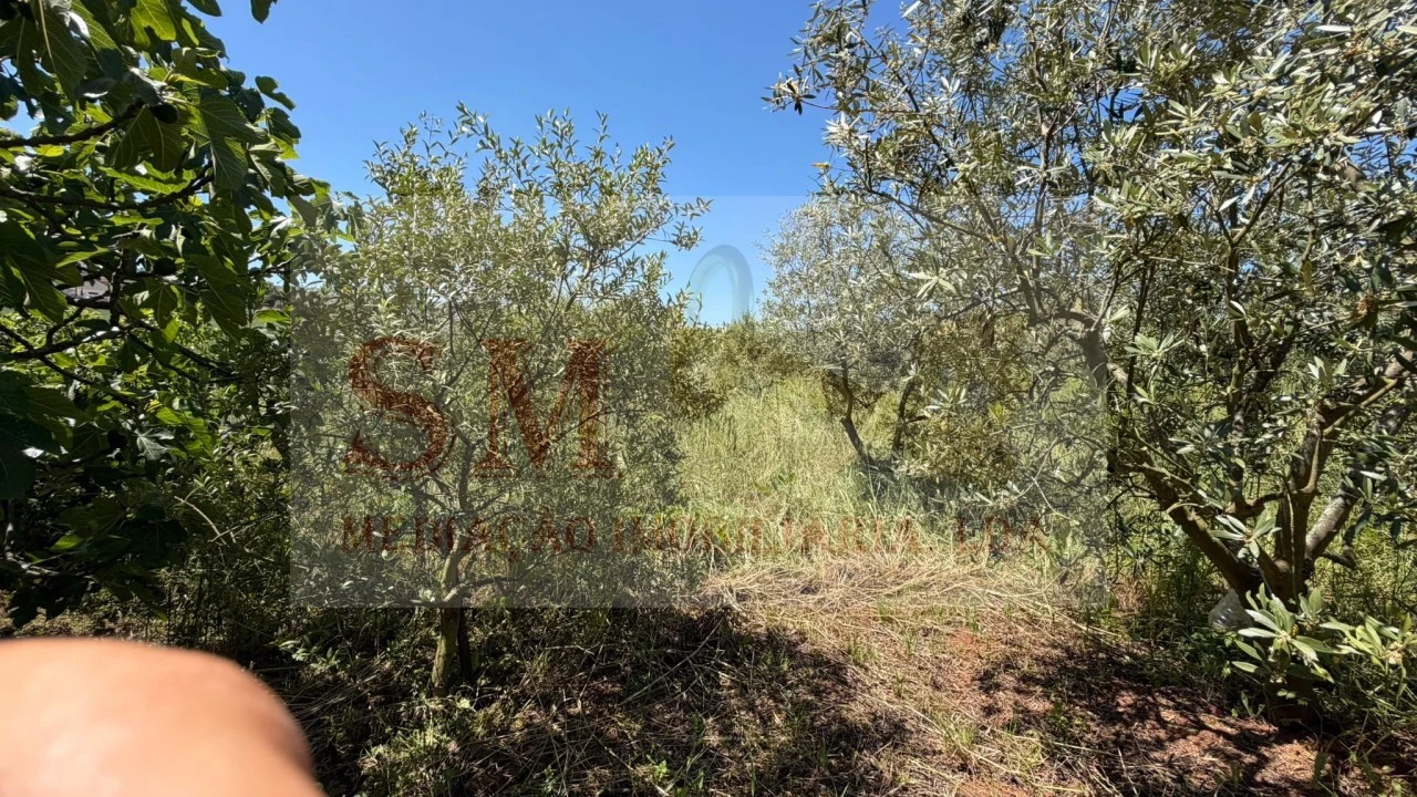 Terreno para Venda em Olhalvo Foto 13