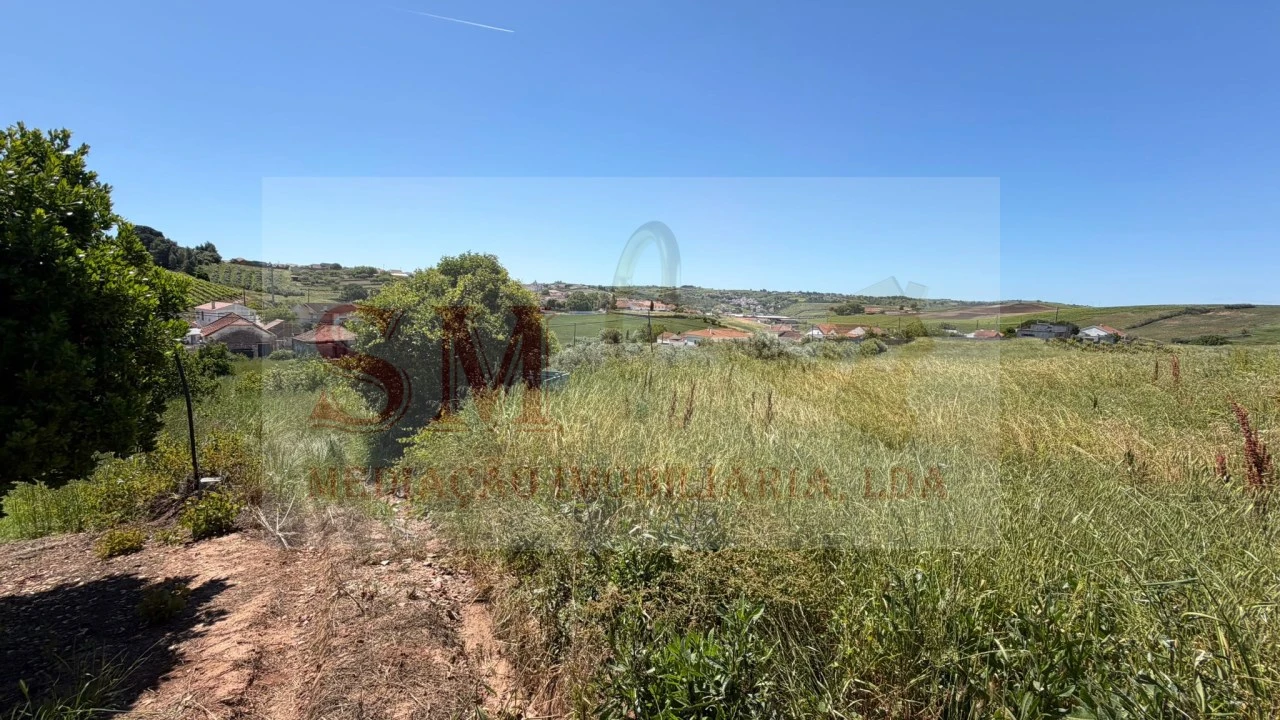 Terreno para Venda em Olhalvo Foto 22