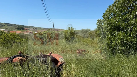 Terreno para Venda em Olhalvo